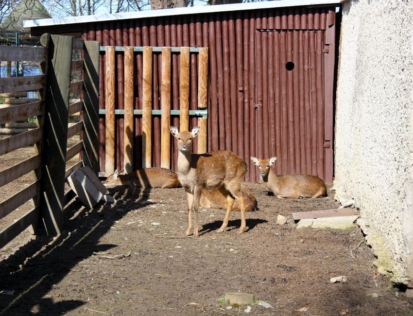 Zoo Hluboka nad Vltavou