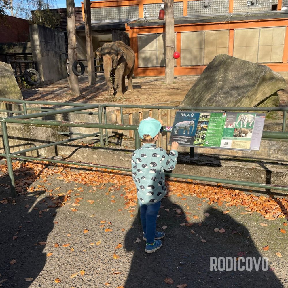 zoo liberec