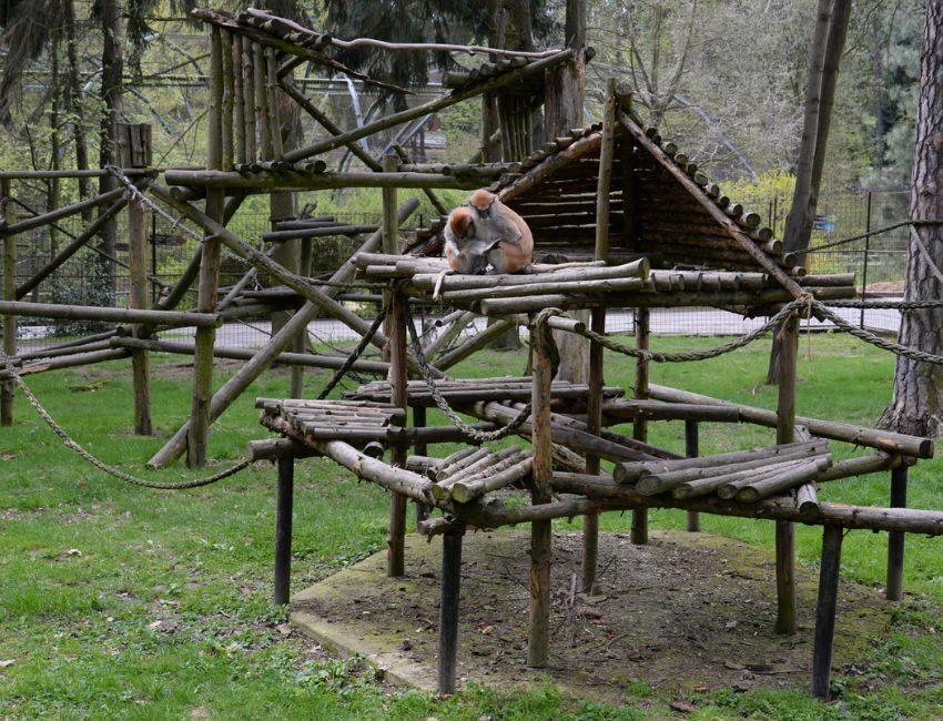 zoo olomouc