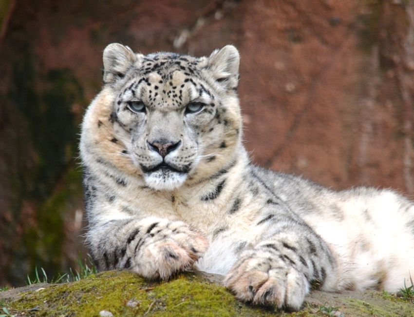 zoo plzen