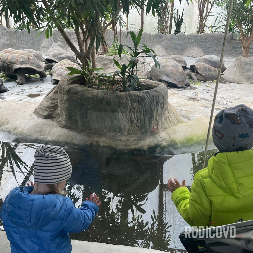 zoo praha