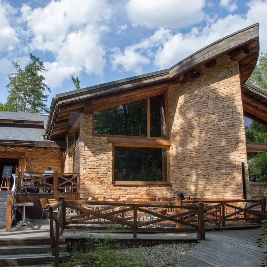 restaurace archa u zoo olomouc