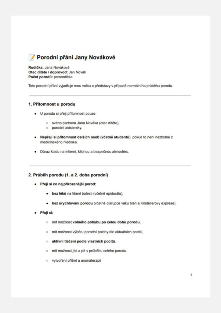 porodni plan vzor