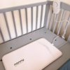 nanny 3 monitor dechu